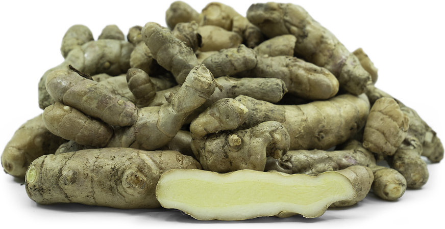 Organic white turmeric root